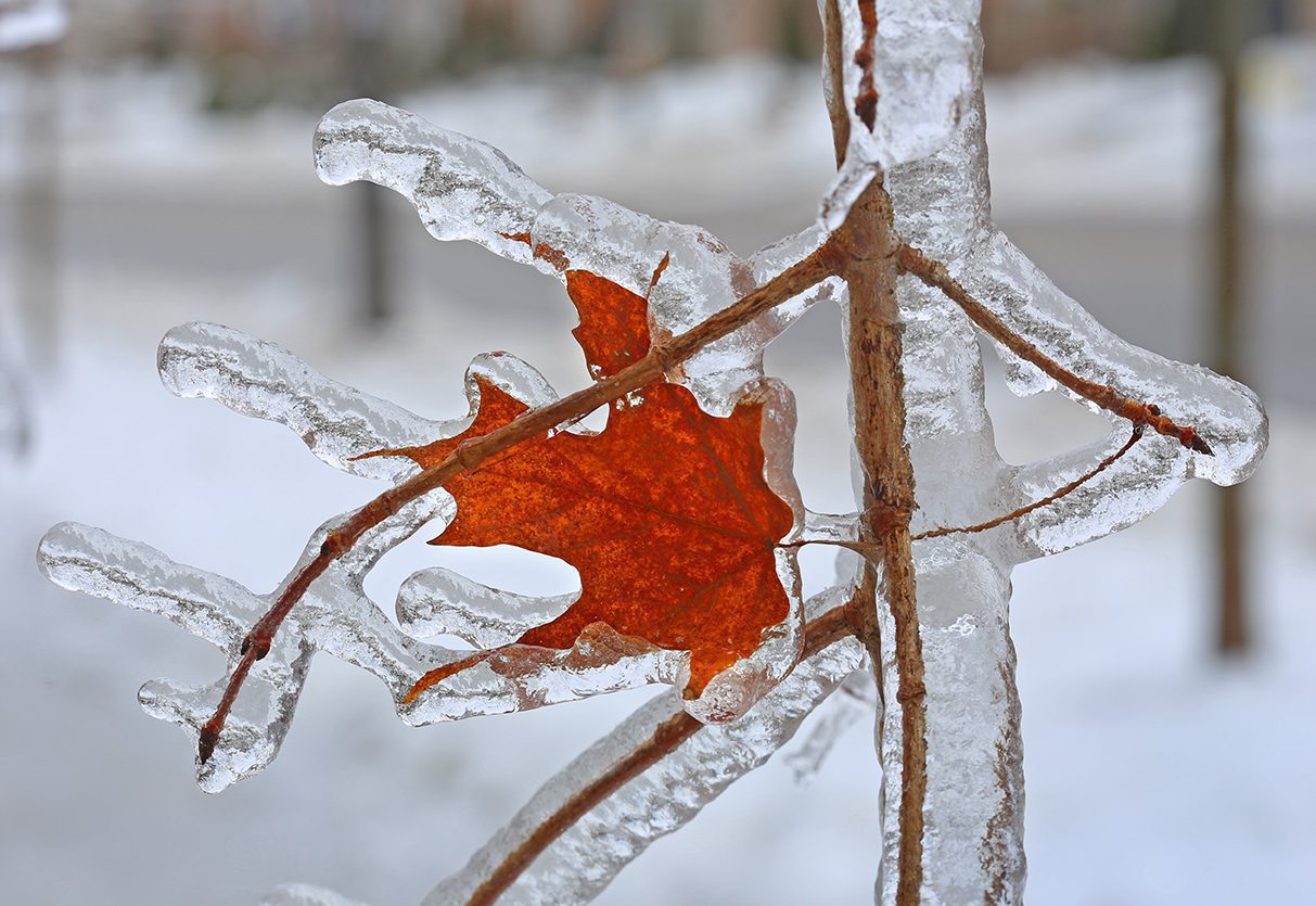 Hiver
